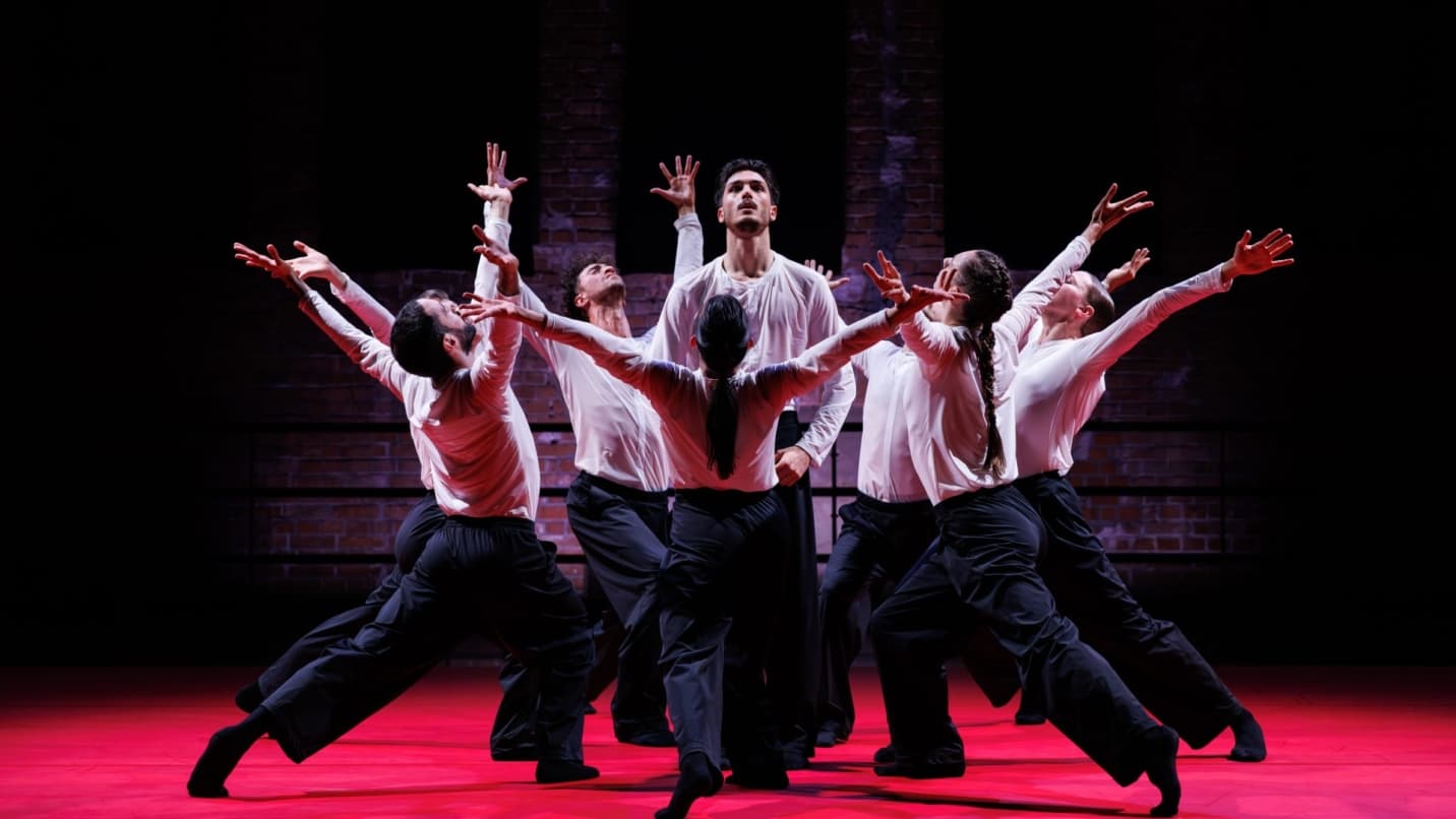 Video voor "undefined"